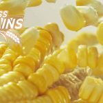 COOKING WITH RAINBOW