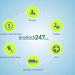 Livestock247.com