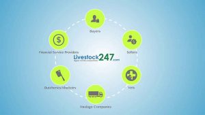 Livestock247.com